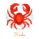 Krebs