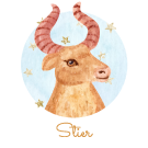 Stier